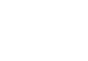 Fortunate Impex Limited